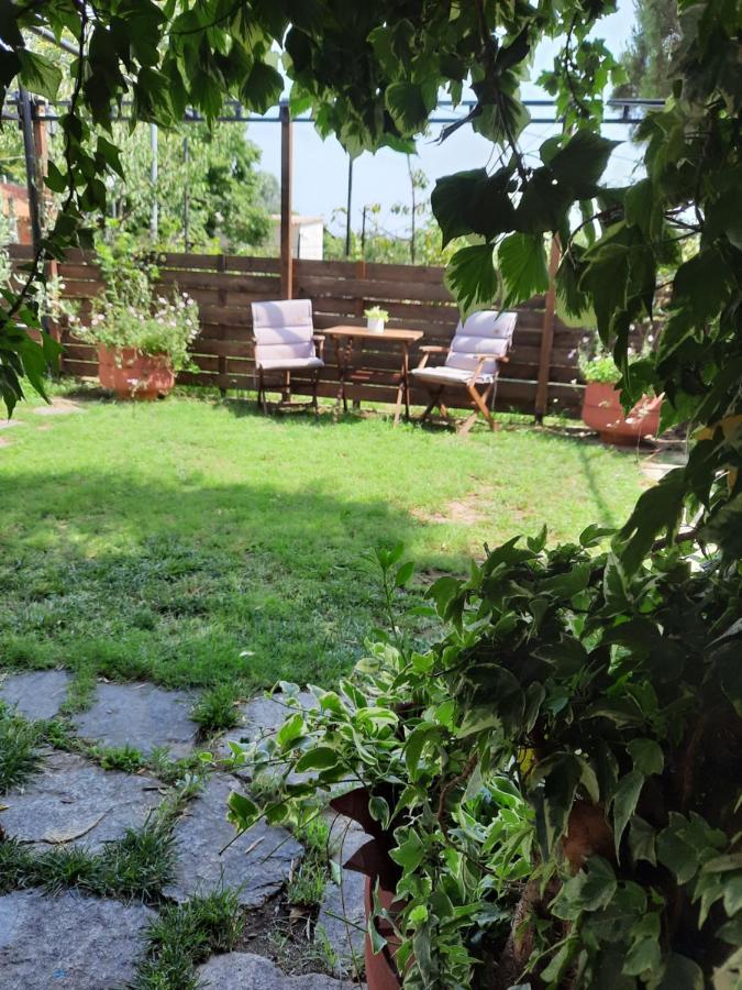 Theodoras House Pension Nea Iraklitsa Buitenkant foto
