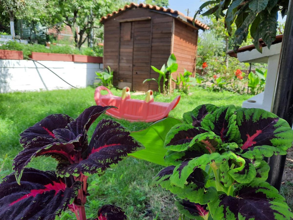 Theodoras House Pension Nea Iraklitsa Buitenkant foto