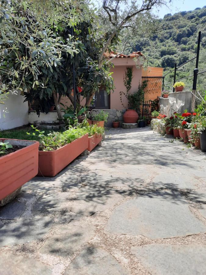 Theodoras House Pension Nea Iraklitsa Buitenkant foto