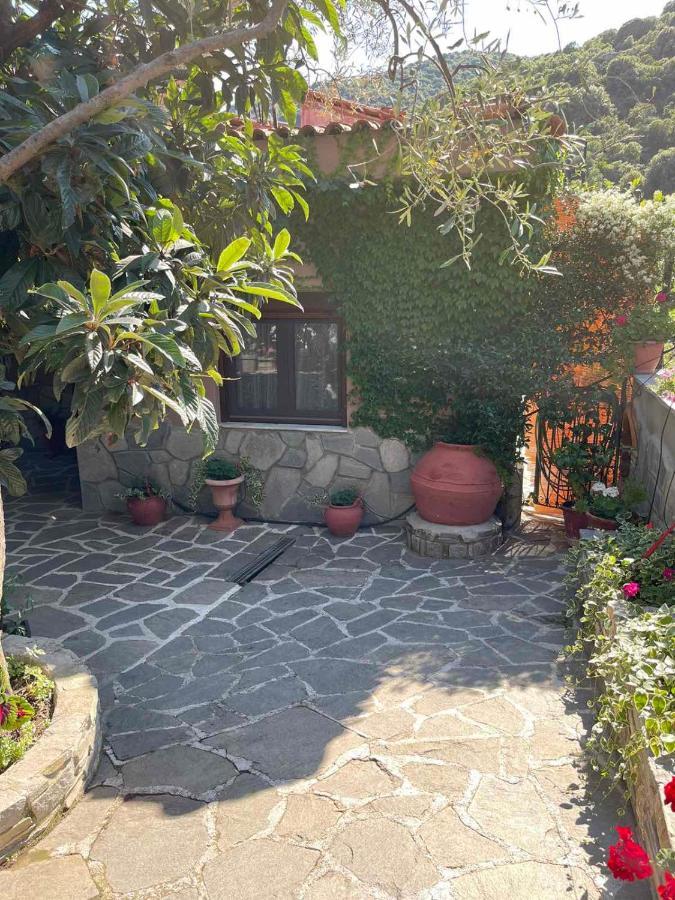 Theodoras House Pension Nea Iraklitsa Buitenkant foto