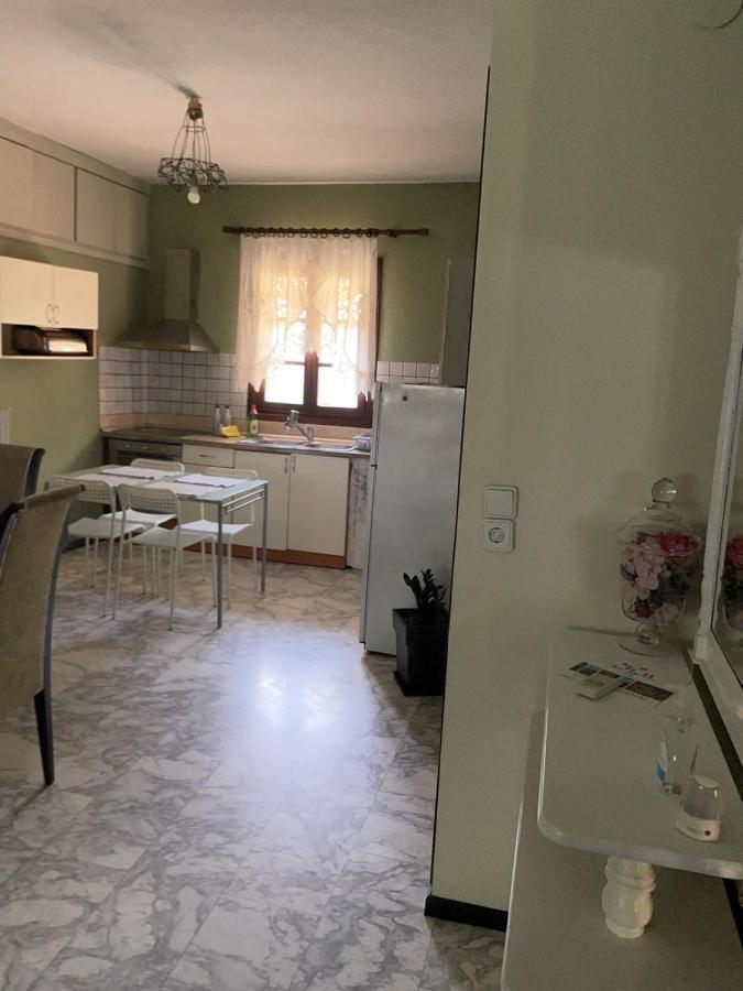 Theodoras House Pension Nea Iraklitsa Buitenkant foto